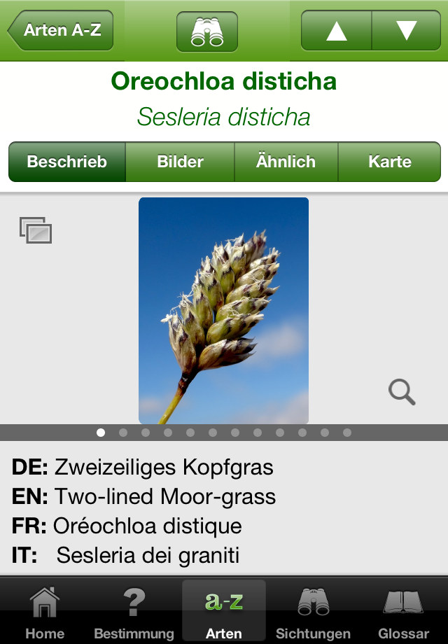 iGrser Lite App iPhone