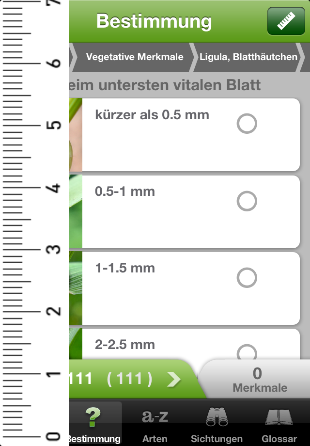 iGräser App iPhone